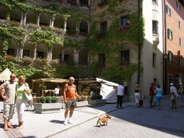 IMGP0347