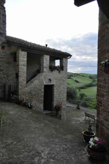  DSC0051
