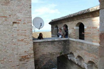 IMG 4674